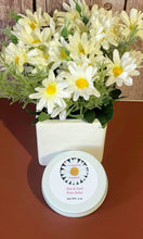 Load image into Gallery viewer, Hot & Iced Pain Salve
